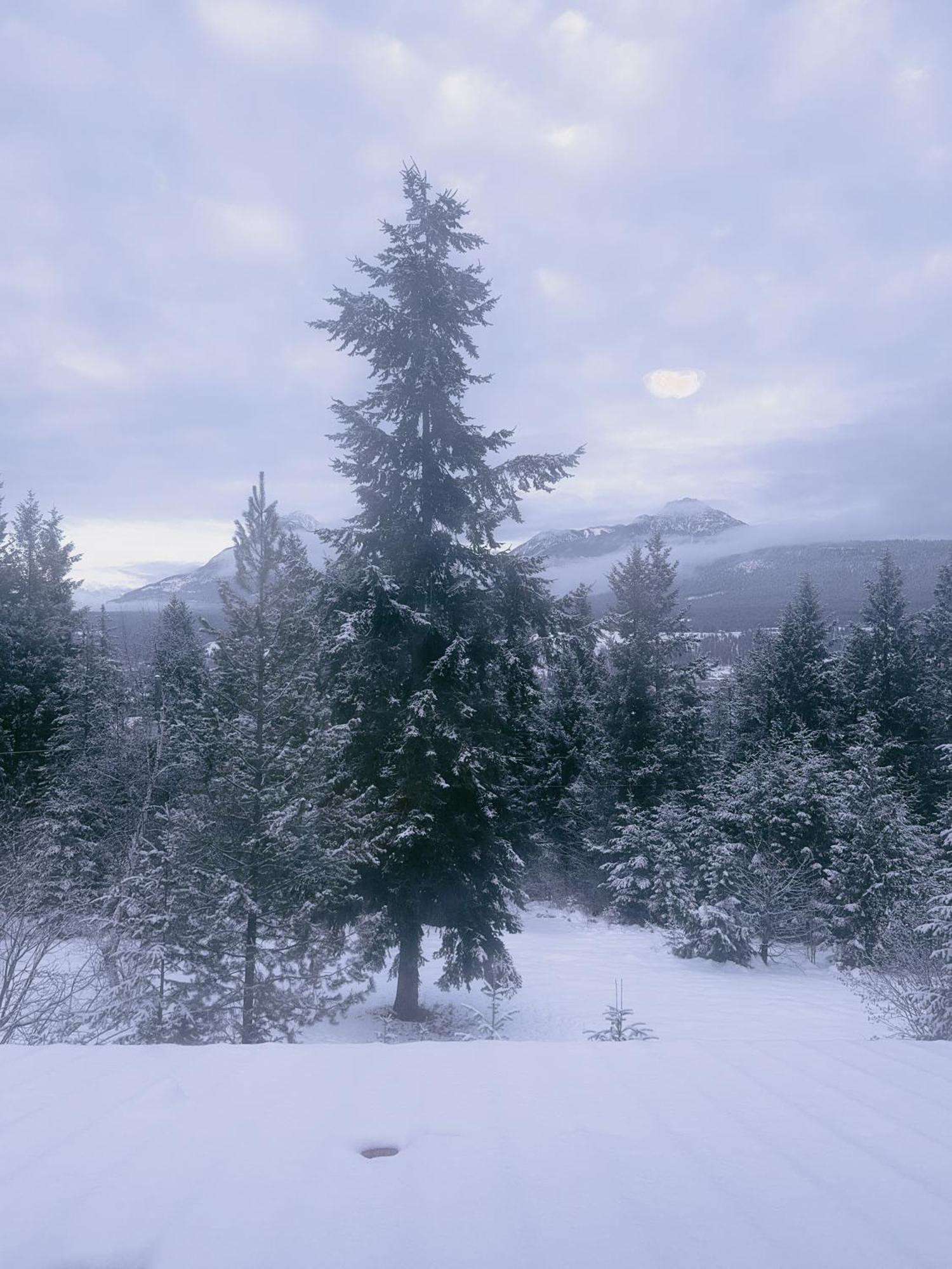 Alpine Meadows Lodge Golden Luaran gambar